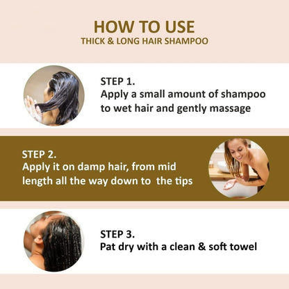 Hair Shampoo with Ginger Extract 200 ml each Pack of 2