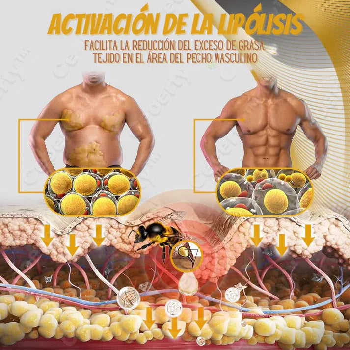 Bee Venom Gynecomastia Heating Oil 150 ml (Pack of 2)